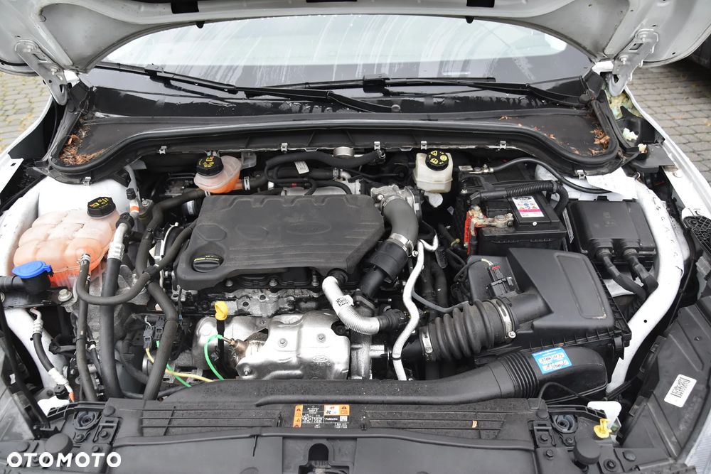 Ford Focus 1.5 EcoBlue Start-Stopp-System TITANIUM - 24