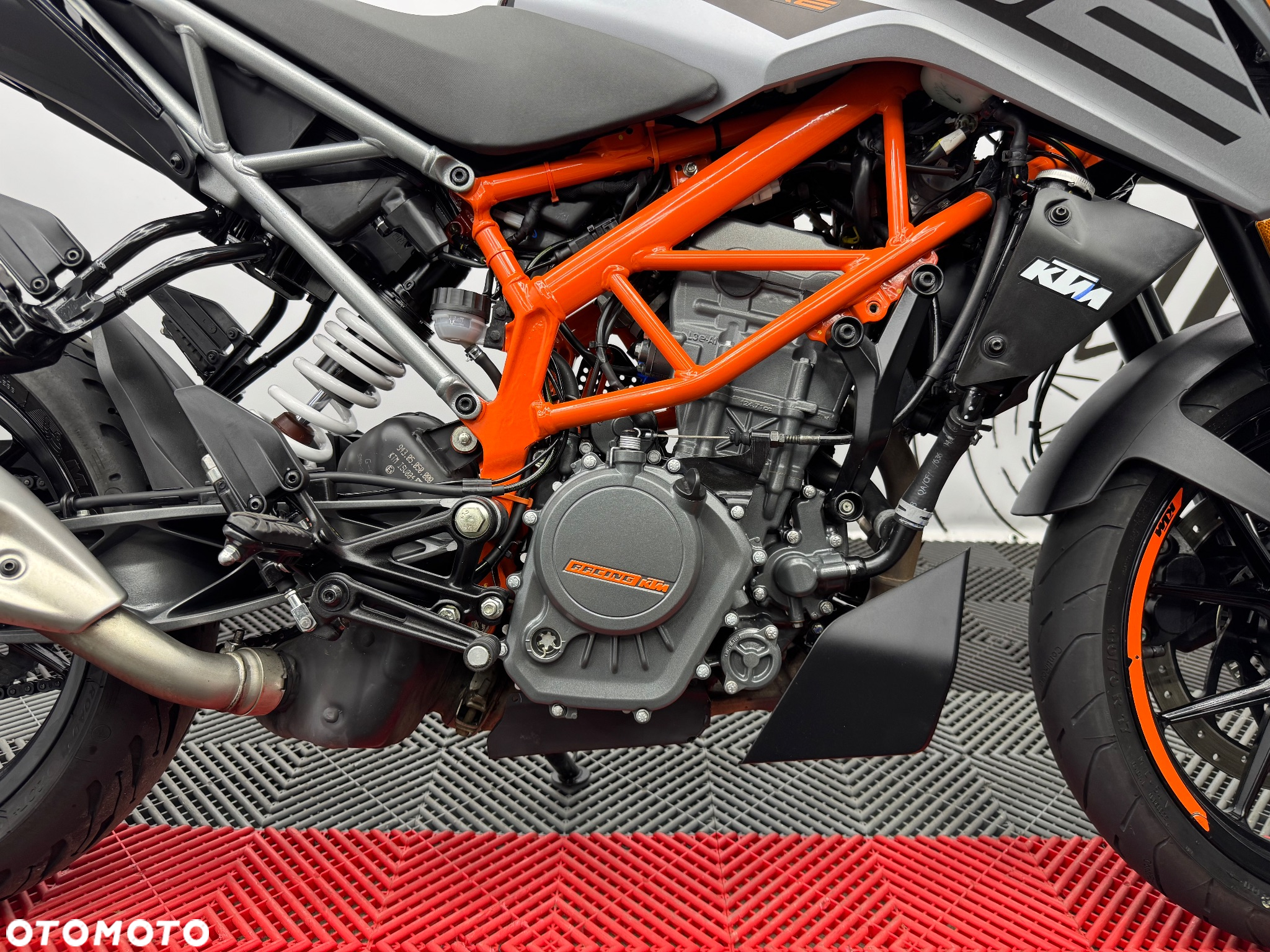 KTM Duke - 37