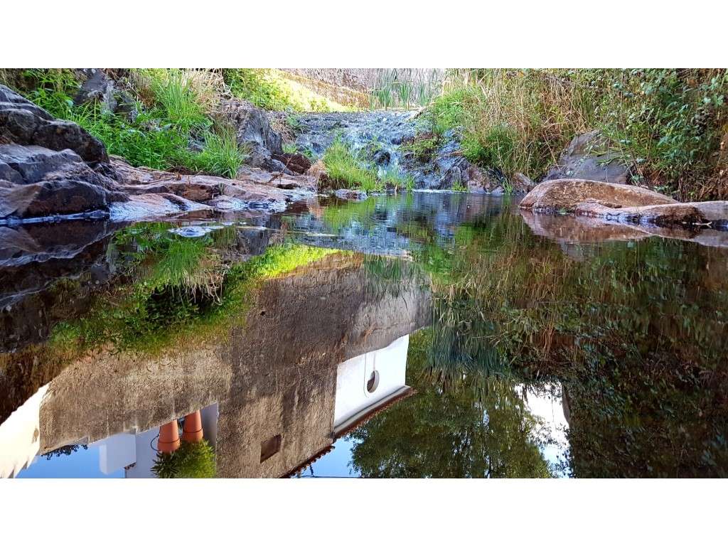 Moradia T5 com Piscina , perto de Marvão - Grande imagem: 4/42