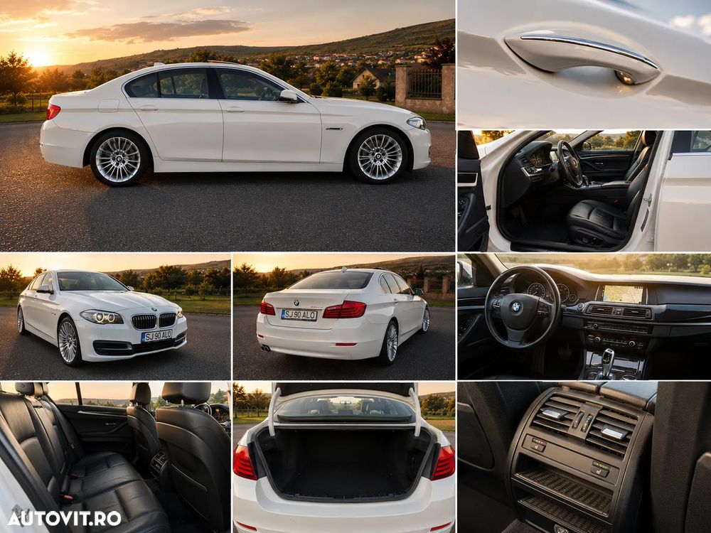 BMW Seria 5 520d Aut. Luxury Line - 21