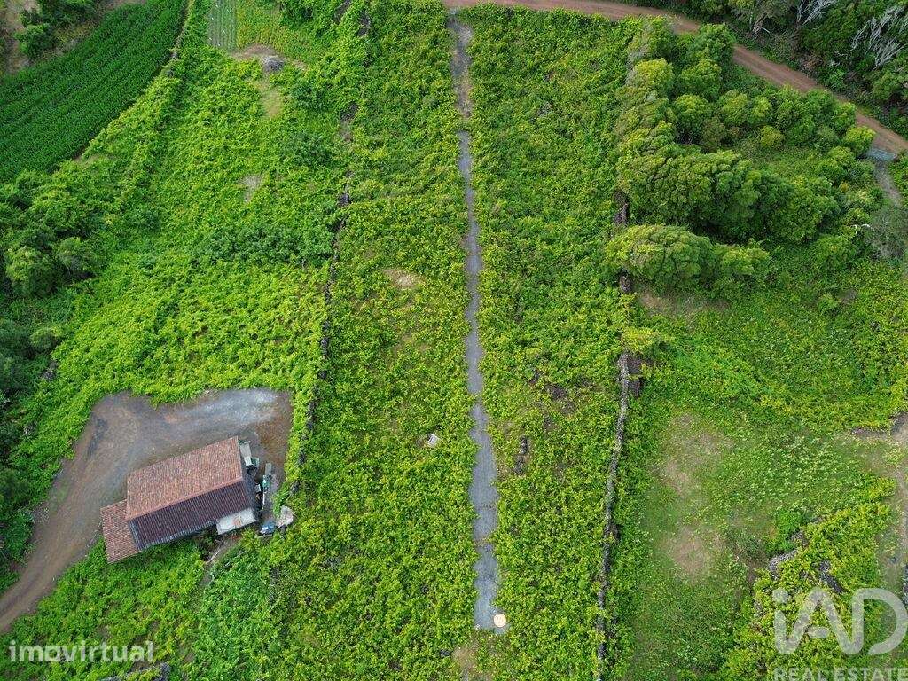 Terreno em Santa Luzia de 2914,00 m2 - Grande imagem: 4/15