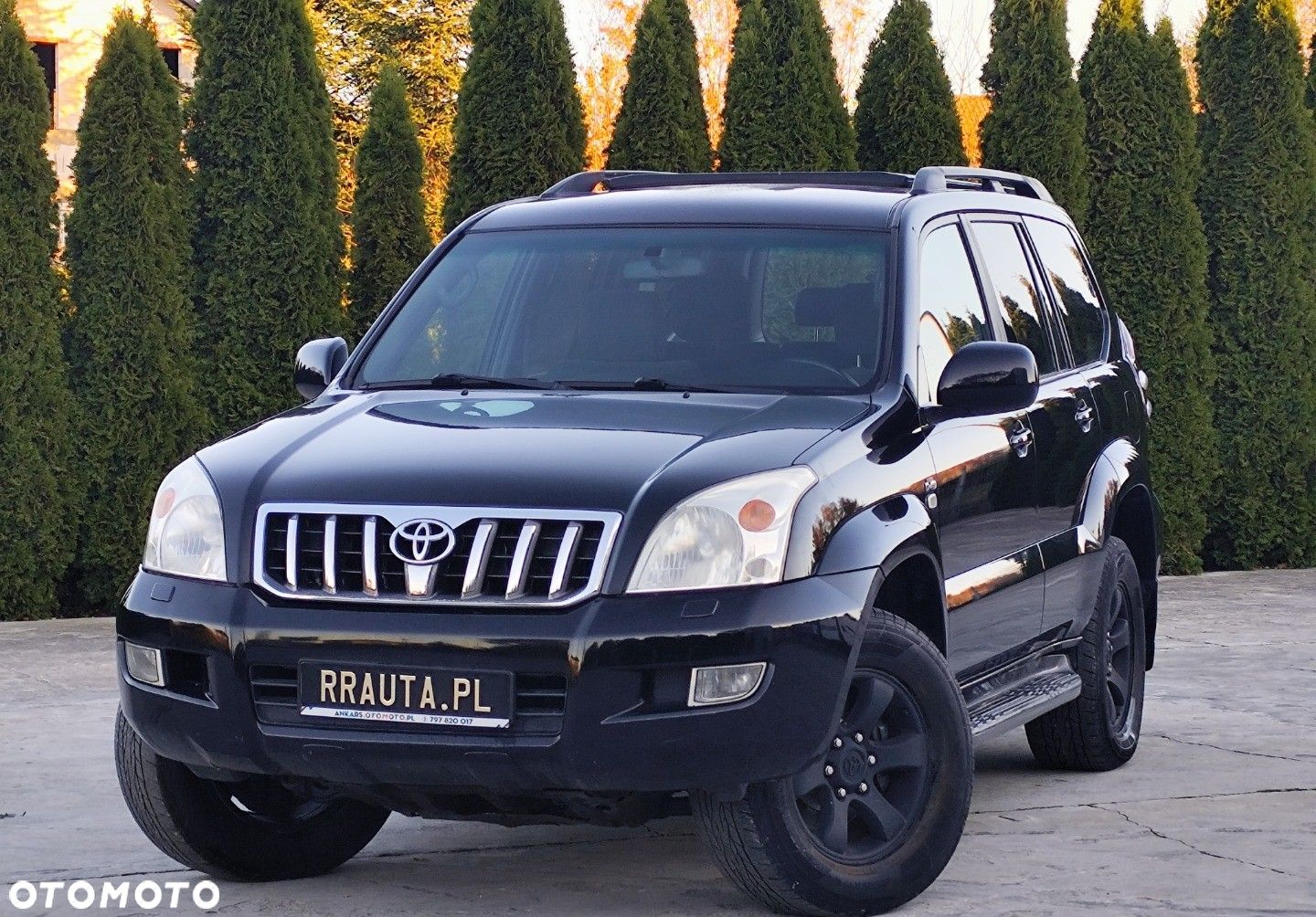 Toyota Land Cruiser - 1