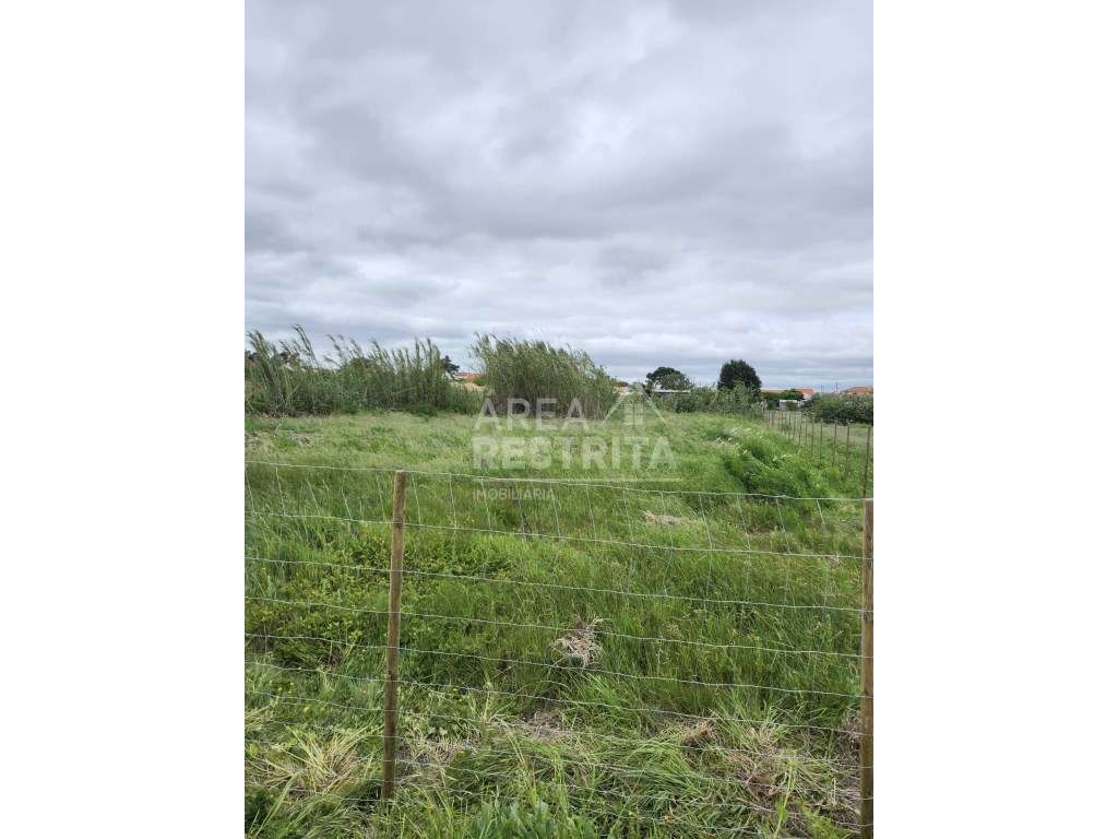 Terreno Venda Setúbal - Grande imagem: 2/14