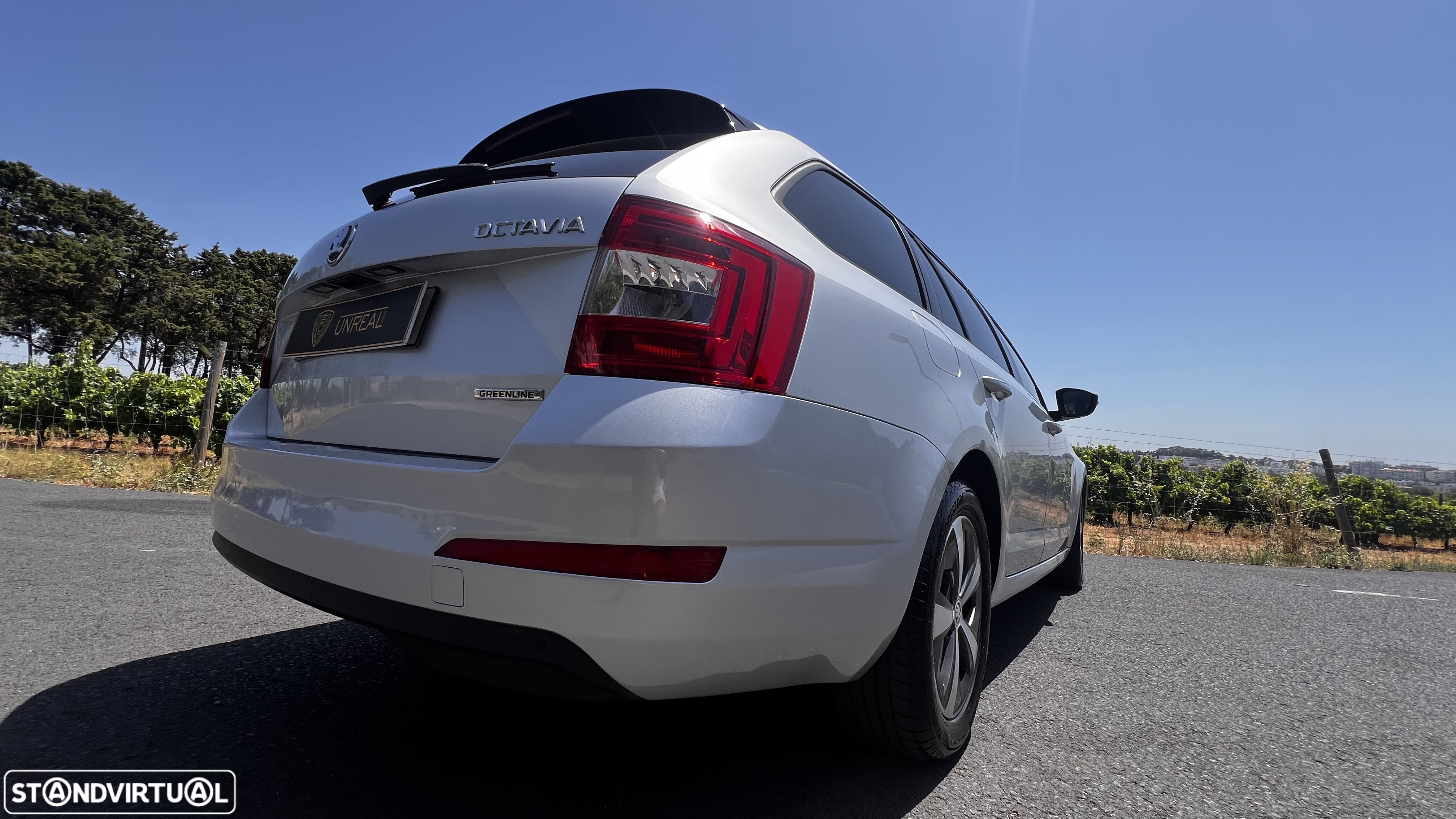 Skoda Octavia Break 1.6 TDi Greenline - 14