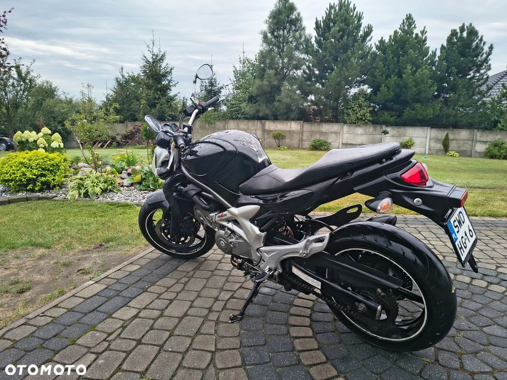 Suzuki Gladius - 1