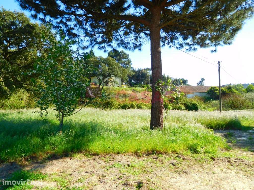 Terreno localizado perto da lagoa de obidos - Grande imagem: 5/14