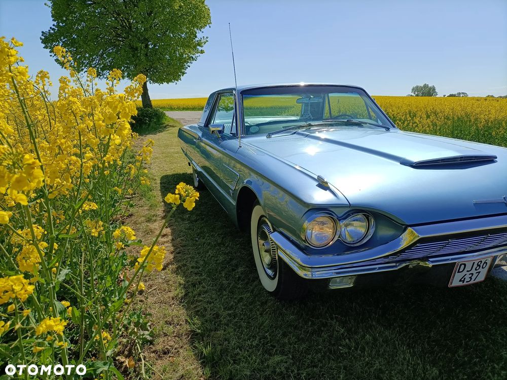 Ford Thunderbird - 1