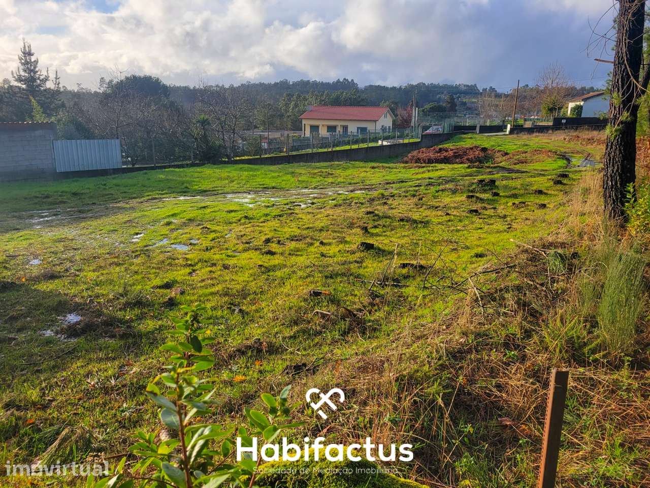 Terreno Rústico- 2.158 m2, á venda em Pinheiro Baixo, Mangualde - Vise - Grande imagem: 3/6