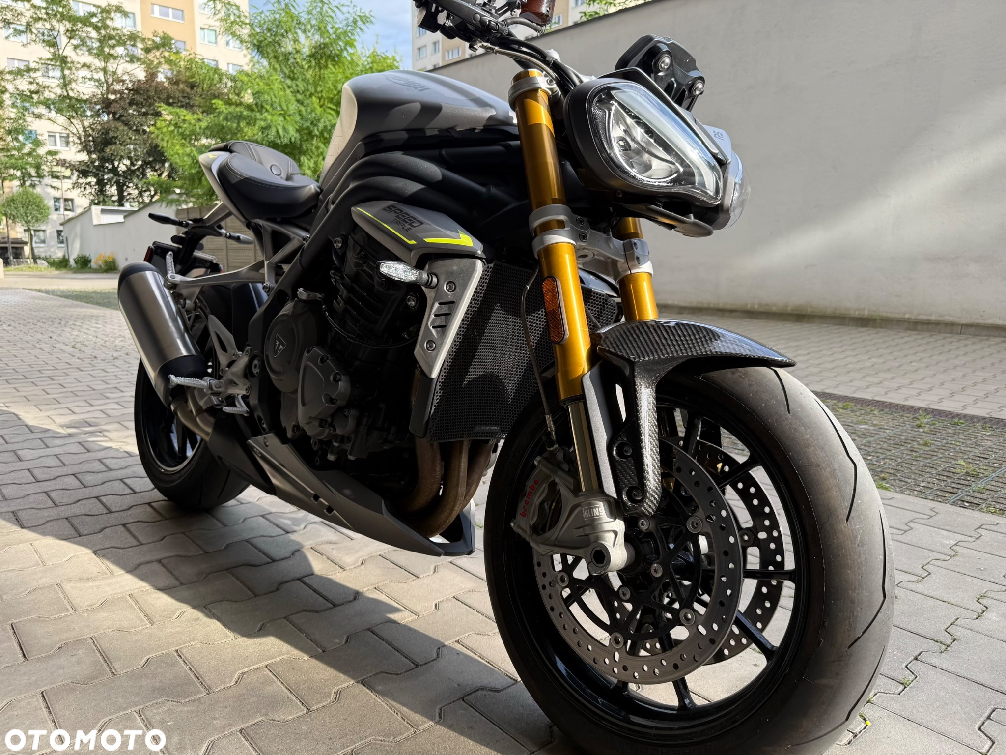 Triumph Speed Triple - 31