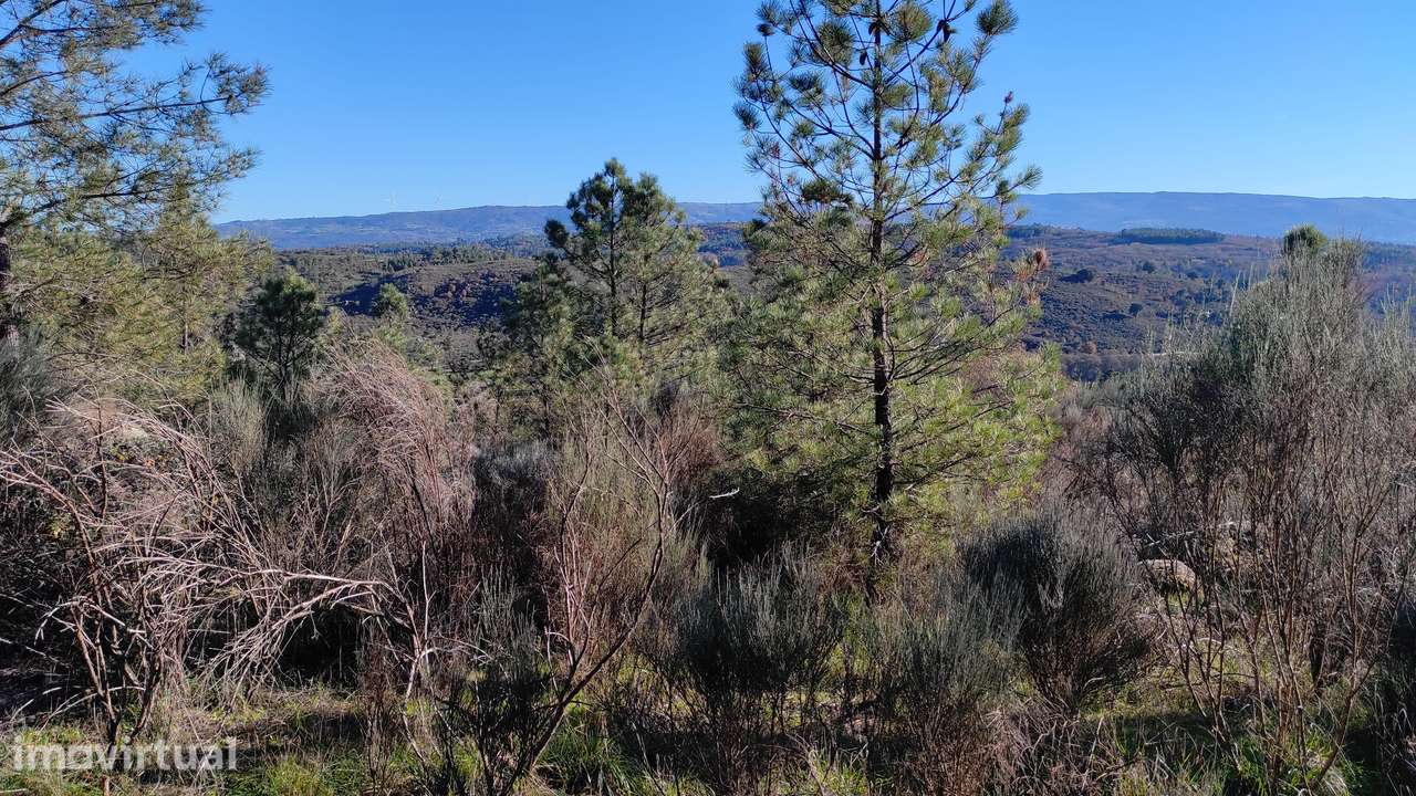 Quinta com vista deslumbrante para a Serra da Estrela 17500€ - Grande imagem: 4/22