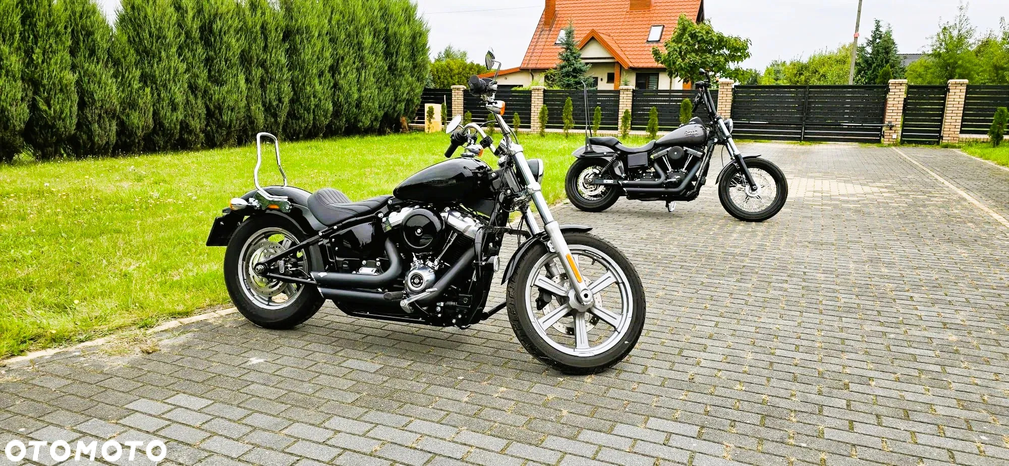 Harley-Davidson Softail Standard - 5