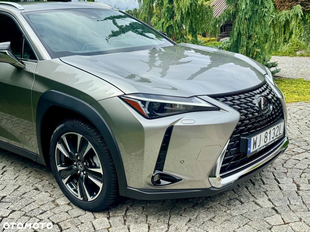 Lexus UX 250h F Sport 2WD - 10