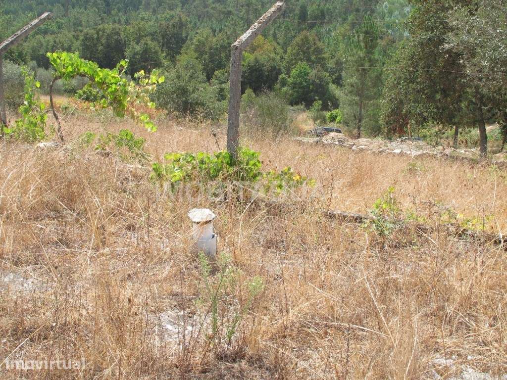 Terreno com casa de arrecadação em Castanheira - Grande imagem: 3/5