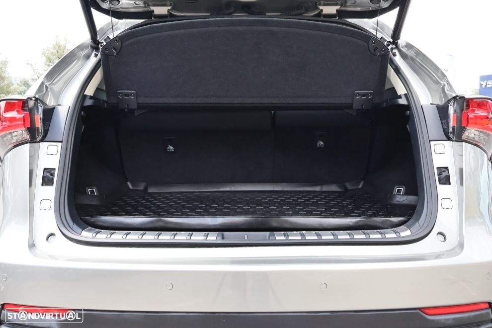 Lexus NX 300h Executive+ - 23