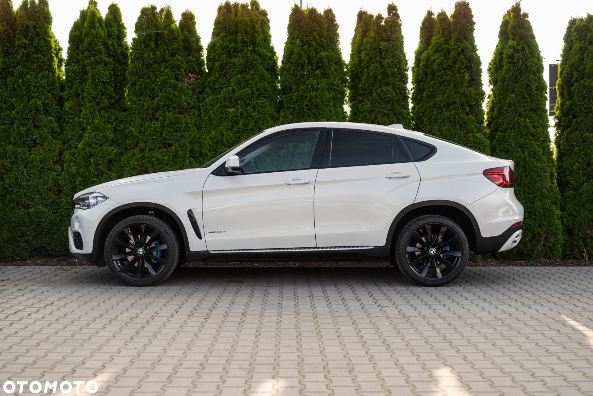 BMW X6 - 7