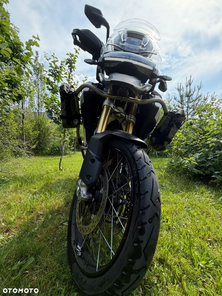 Triumph Tiger - 10