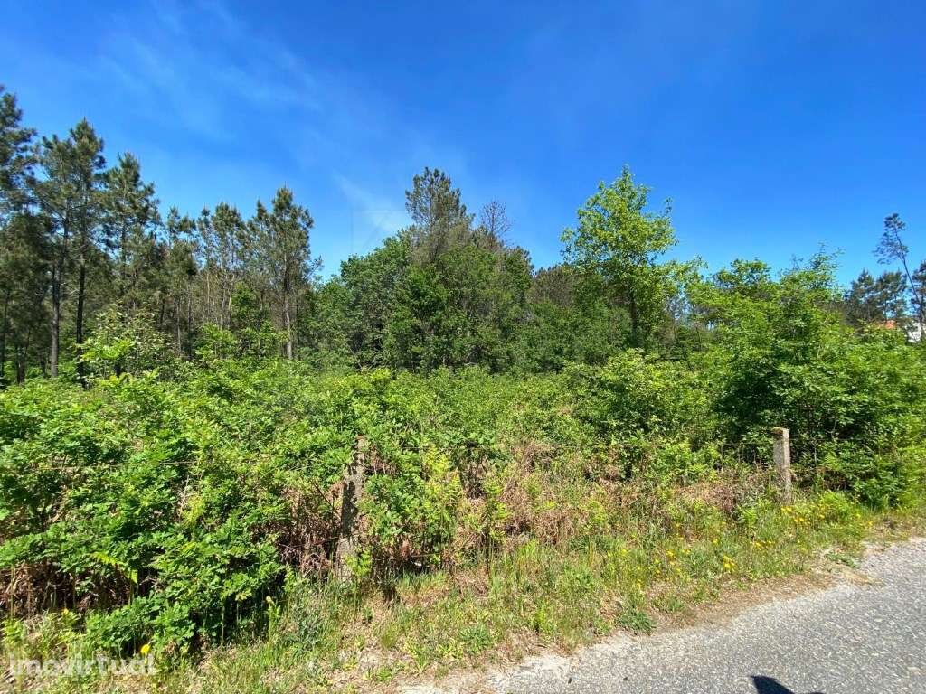 Terreno para construção - Grande imagem: 3/7