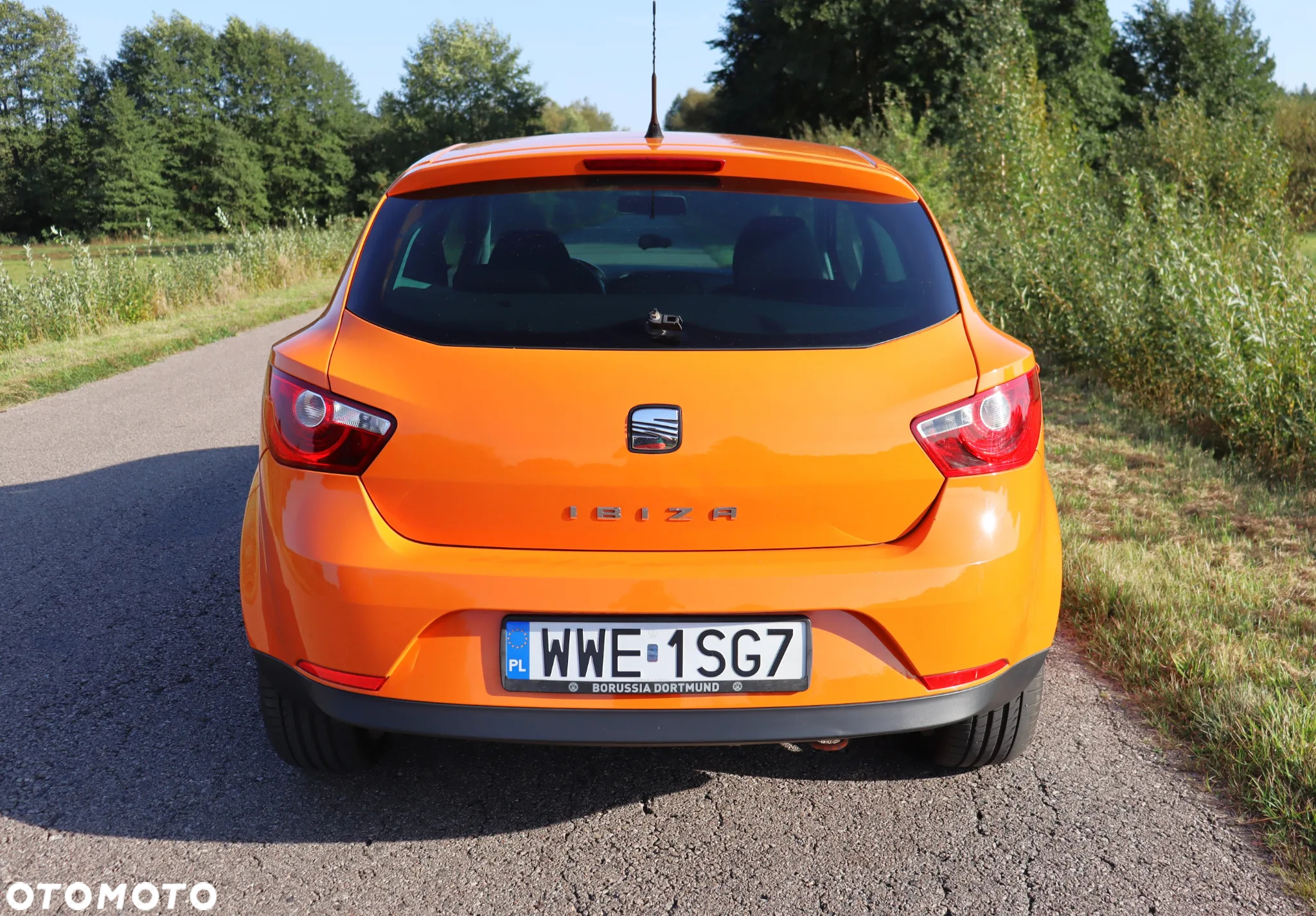 Seat Ibiza - 4