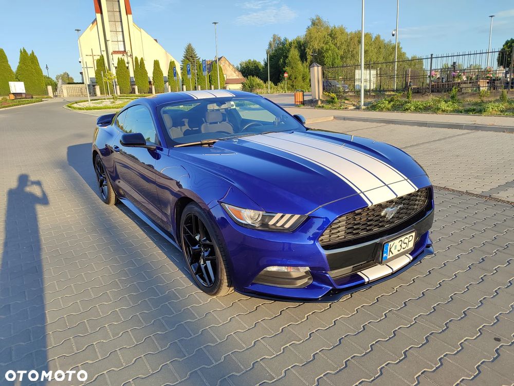 Ford Mustang 3.7 V6 - 13