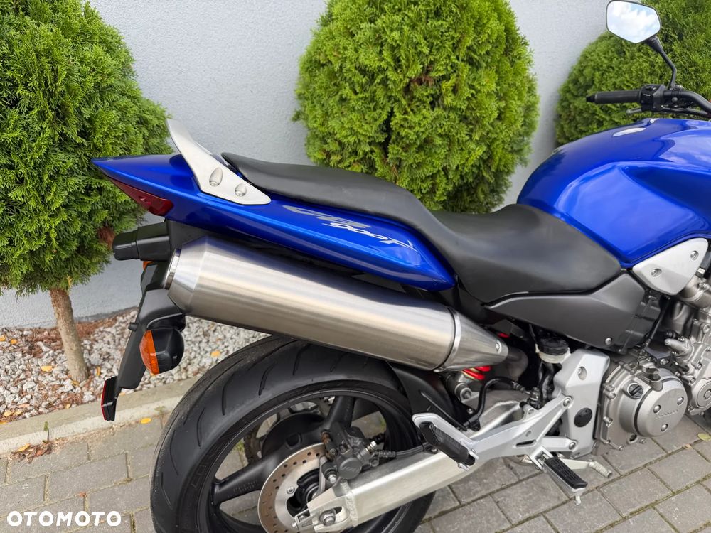 Honda Hornet - 13
