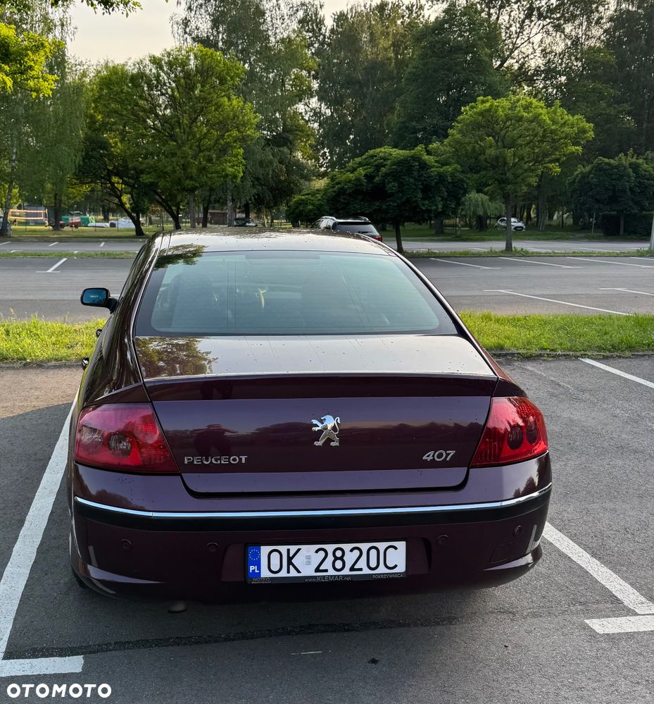Peugeot 407 - 3
