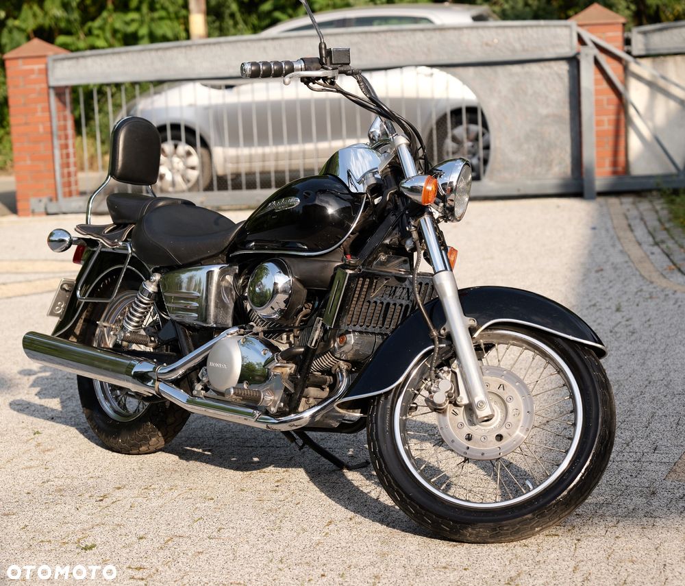 Honda Shadow - 17