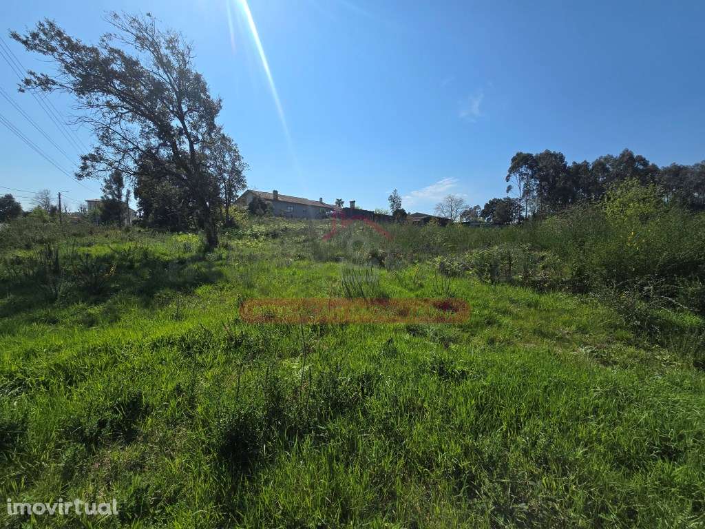 Lote terreno p/ construção - várias possibilidades - Águeda - Grande imagem: 3/8