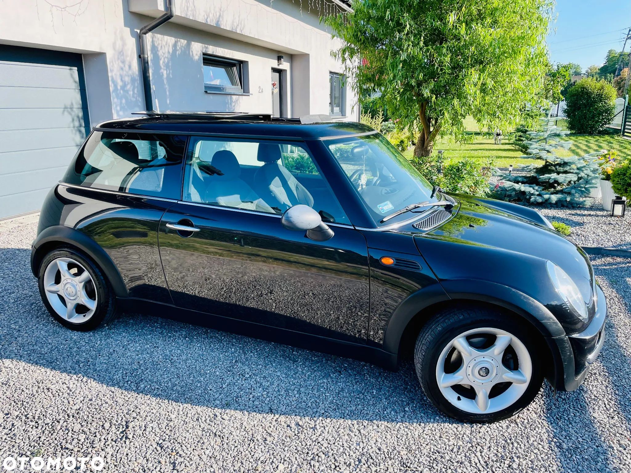 MINI ONE Standard - 1