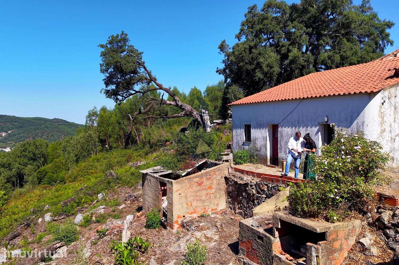 Entre a Serra e o Silêncio — Casa com Alma à Espera de uma Nova Vida - Grande imagem: 5/31