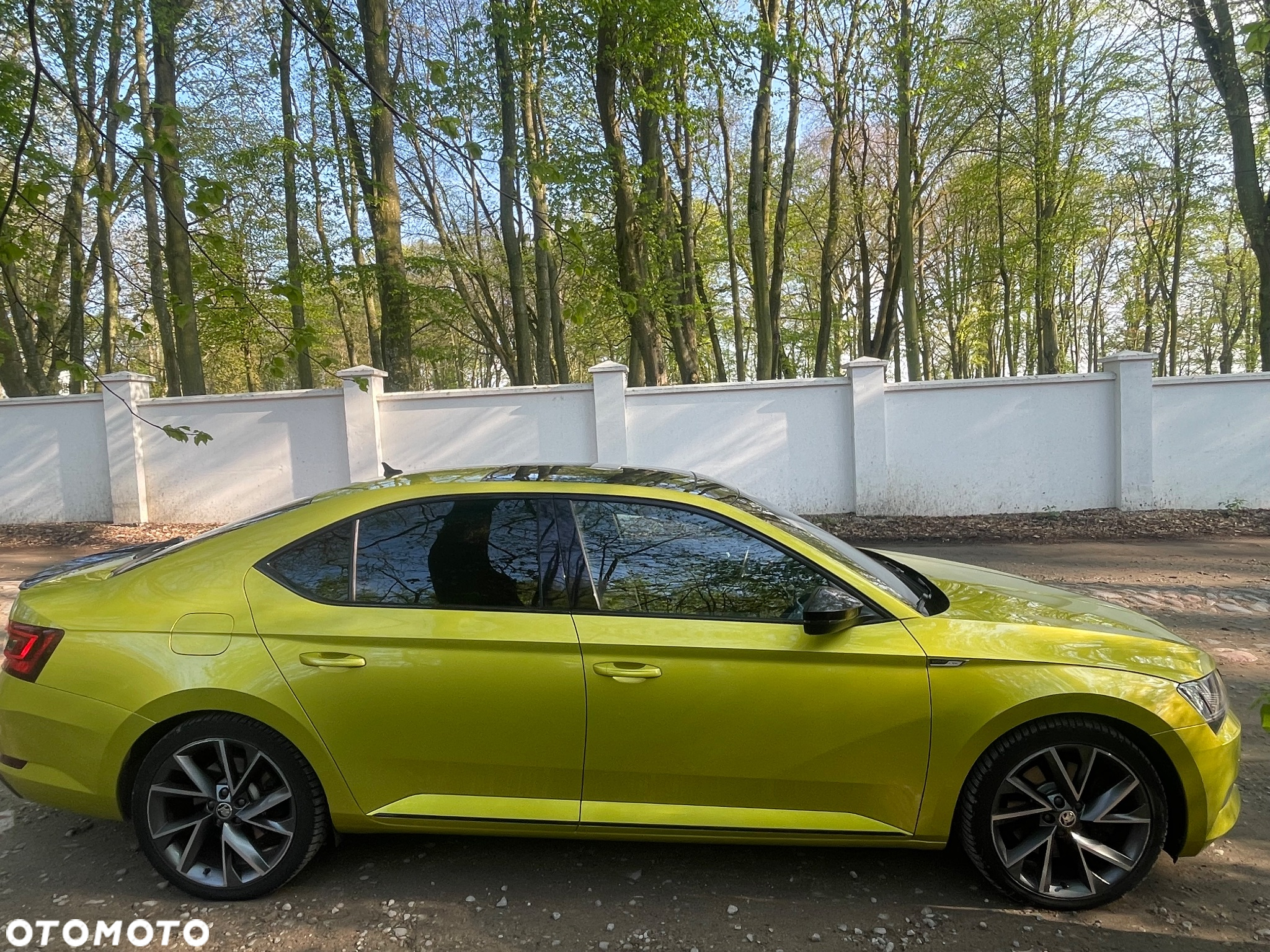 Skoda Superb 2.0 TSI 4x4 Sportline DSG - 8