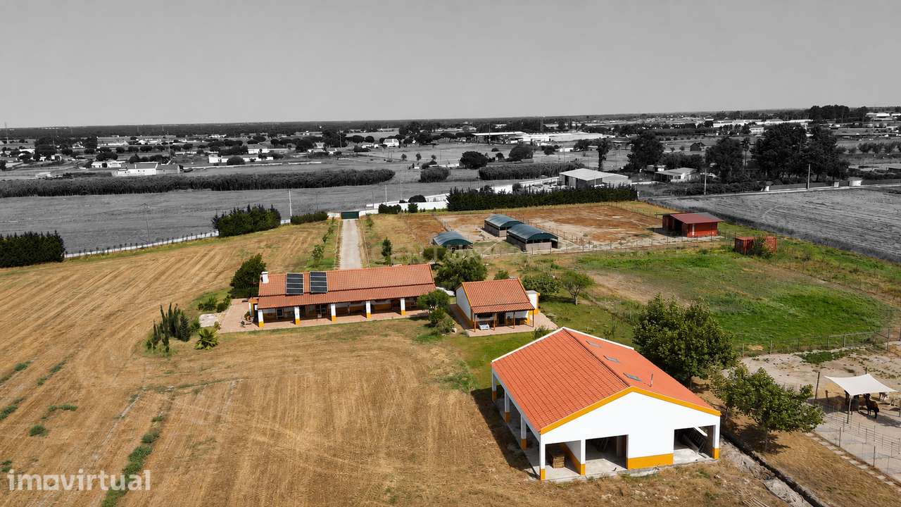 Quinta de Charme com 2,5 Hectares | Moradia Remodelada | Potencial par - Grande imagem: 2/7