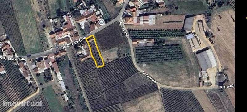 Terreno com ruína para construção - Quinta da Gala - Mamarrosa - Grande imagem: 4/4