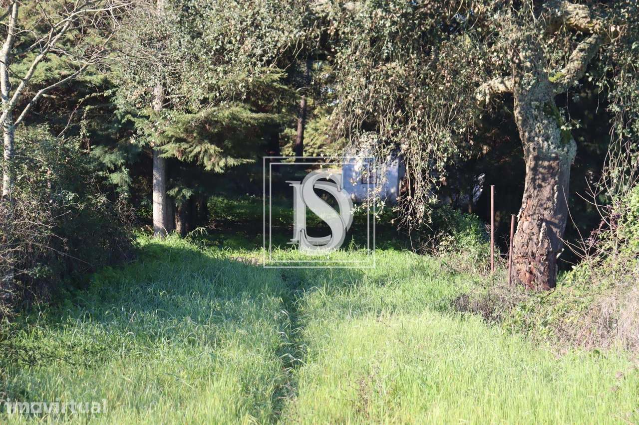 Terreno Urbano - Abrantes - Grande imagem: 3/22