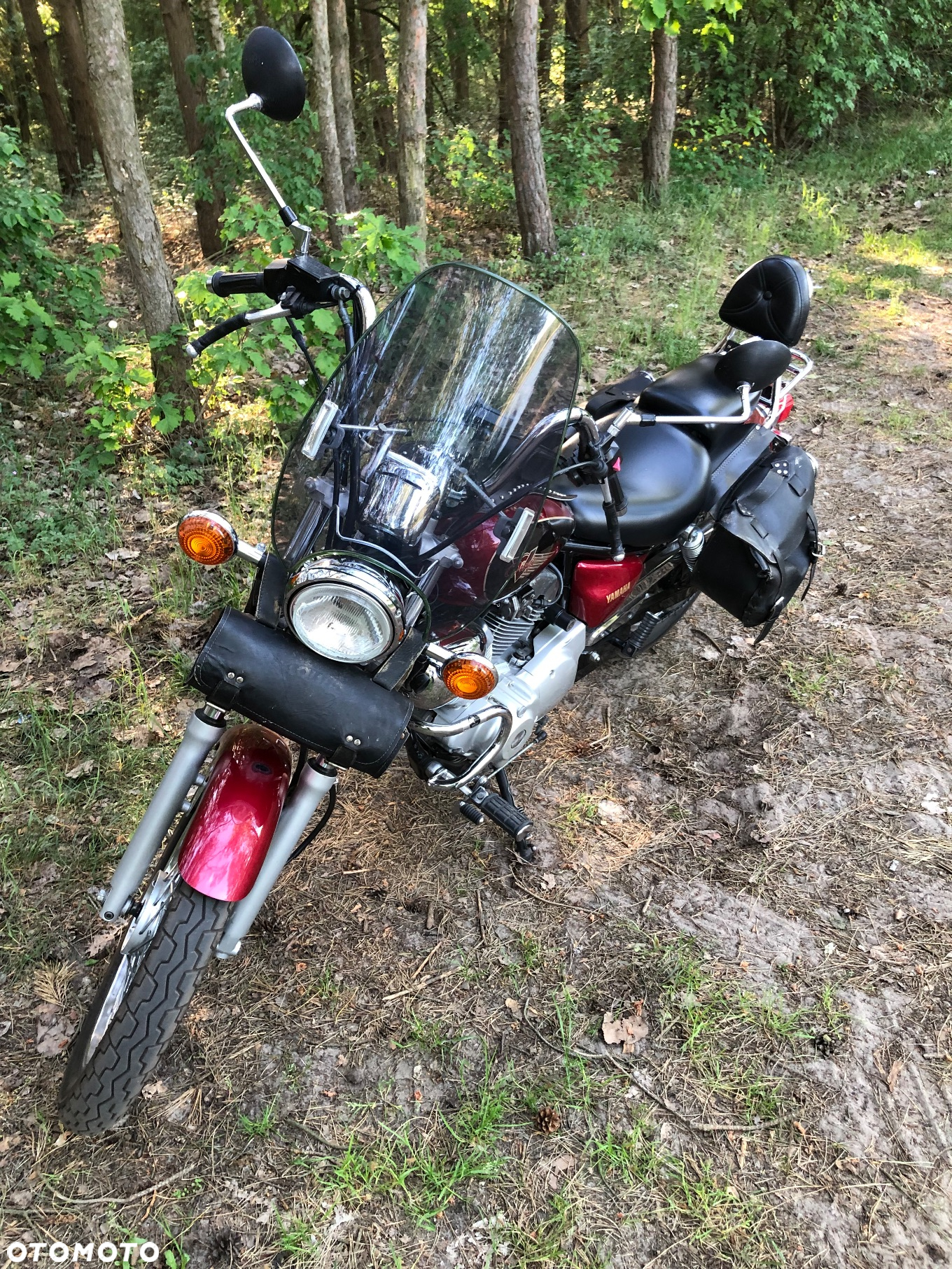 Yamaha Virago - 10