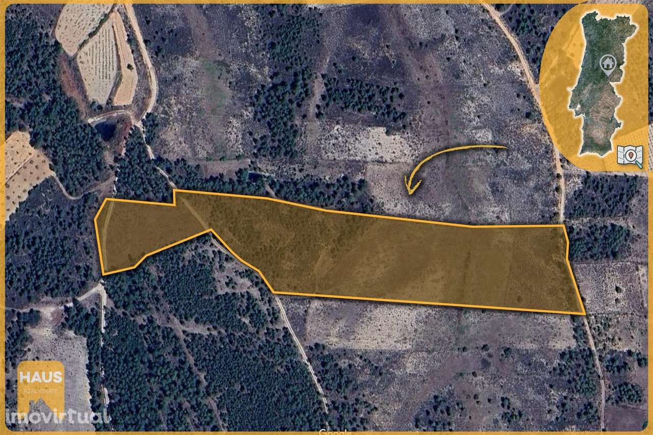 Terreno com 26.000 m² à venda em Castelo Branco. - Grande imagem: 2/23