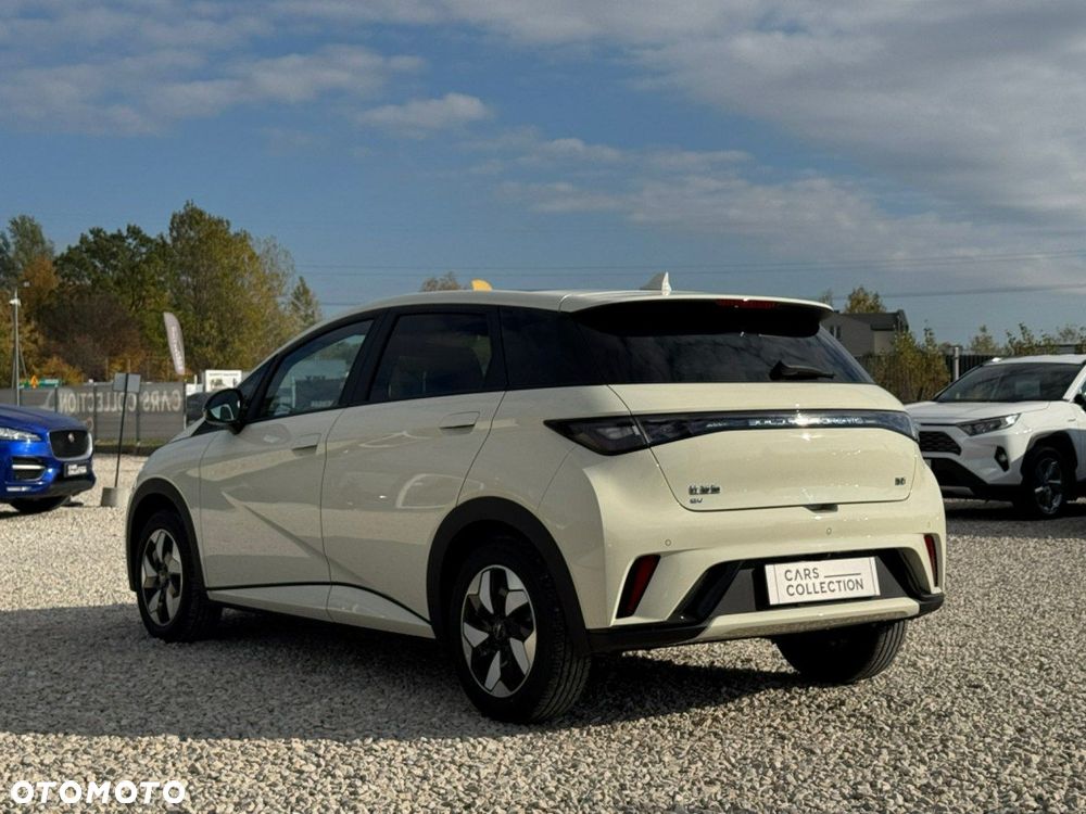 BYD Dolphin Active - 6