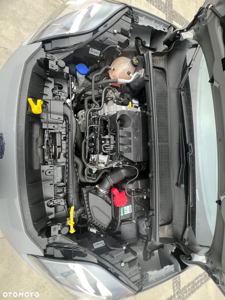 Ford Puma 1.0 EcoBoost Hybrid COOL & CONNECT - 37