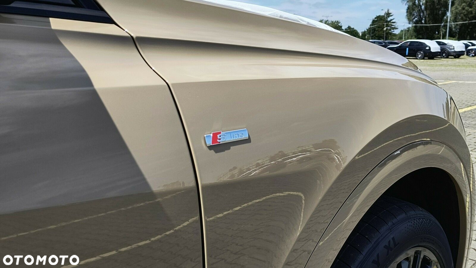 Audi Q8 - 17