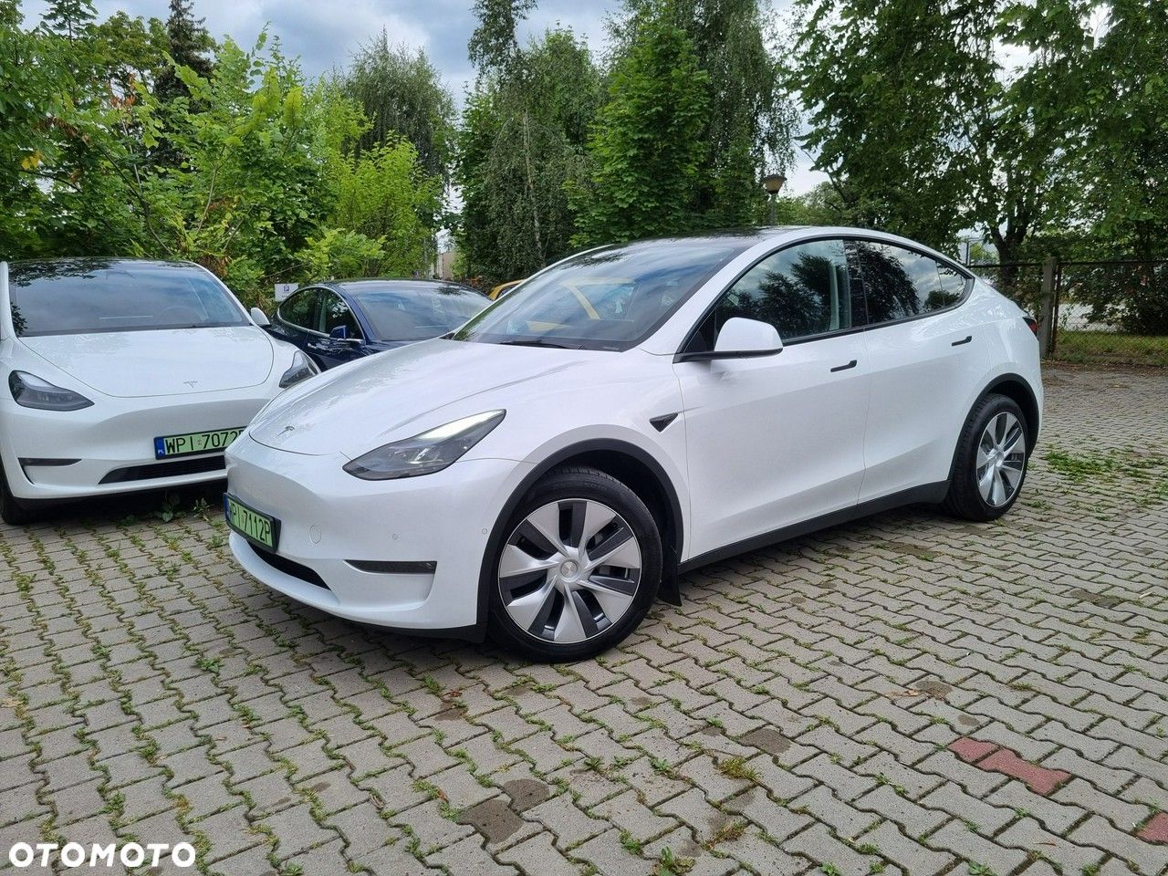 Tesla Y - 1