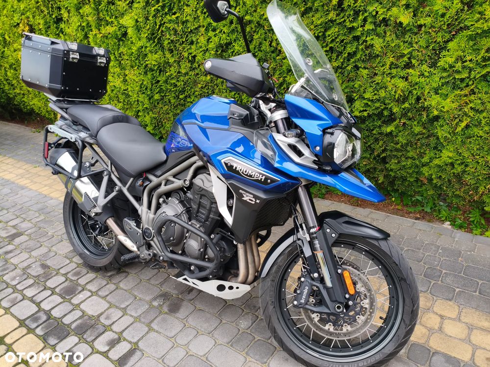 Triumph Tiger - 4