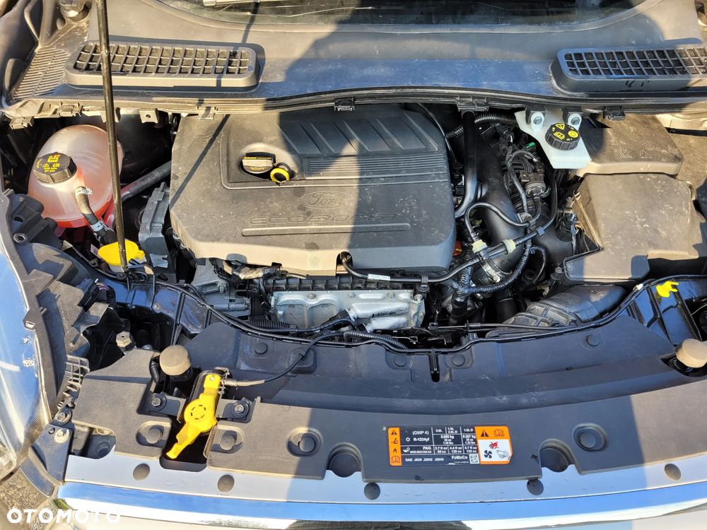 Ford Kuga 1.5 EcoBoost FWD Trend ASS GPF - 15