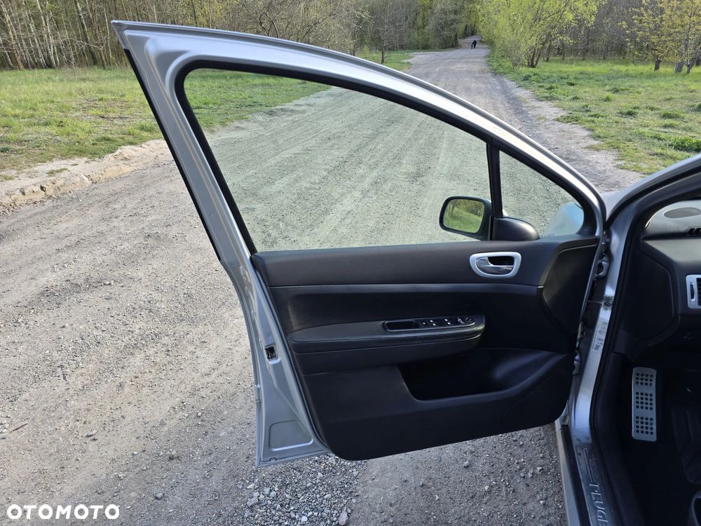 Peugeot 307 2.0 Premium - 22