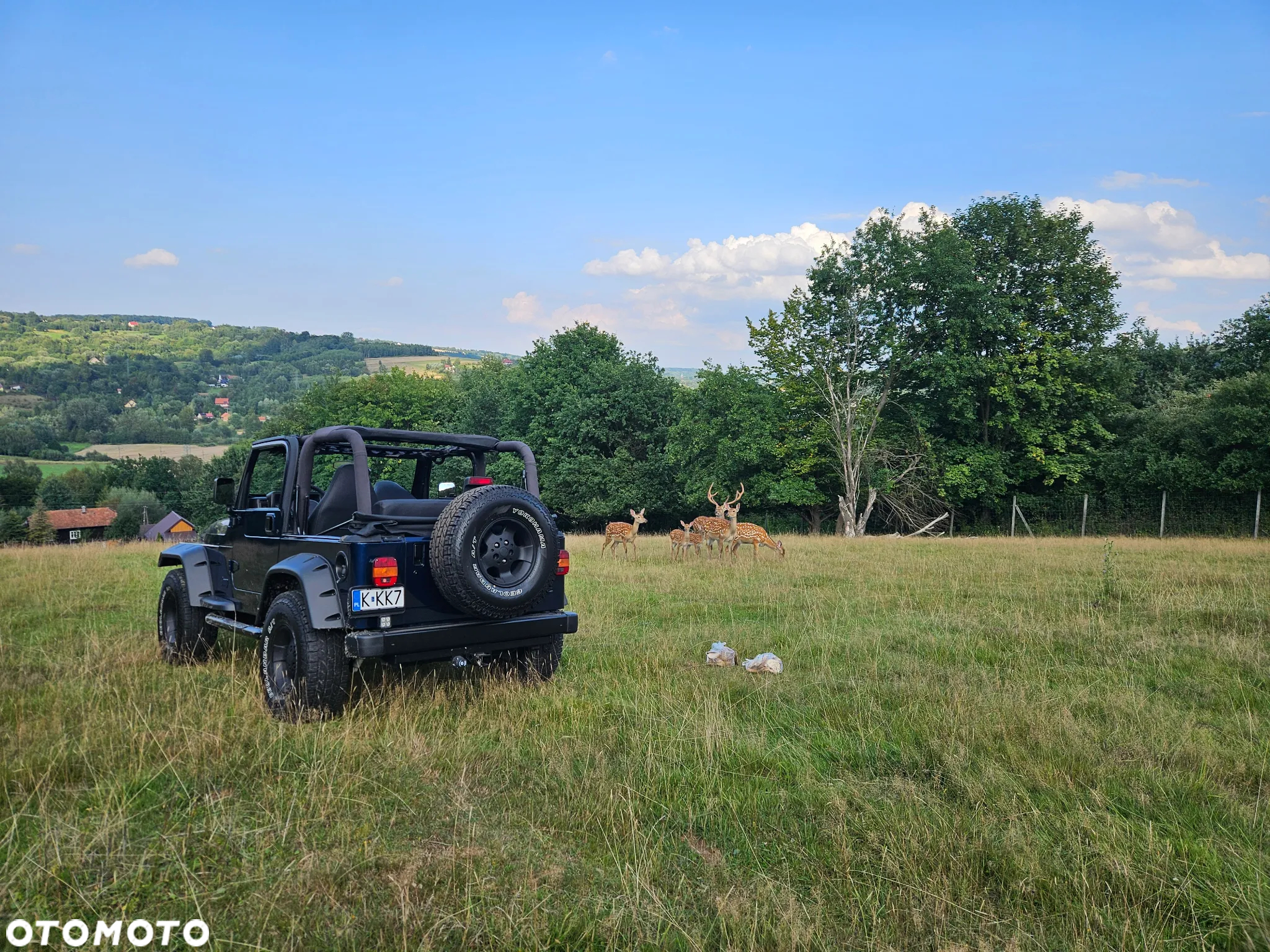 Jeep Wrangler 4.0 Automatik Sahara - 16