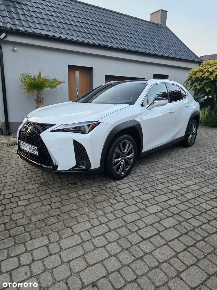 Lexus UX - 16