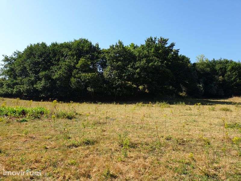 Campo com duas leiras encostado ao afluente do rio Ave - Grande imagem: 3/12