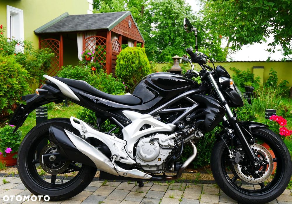 Suzuki Gladius - 2