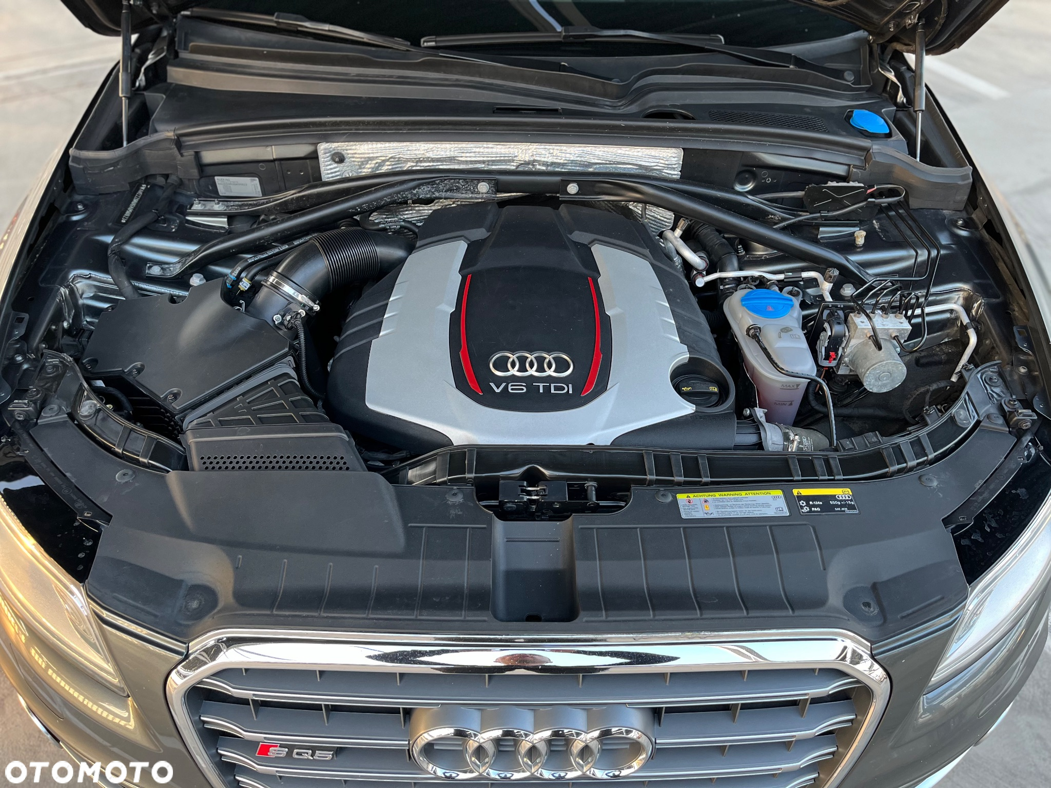 Audi SQ5 3.0 TDI Quattro Competition - 36