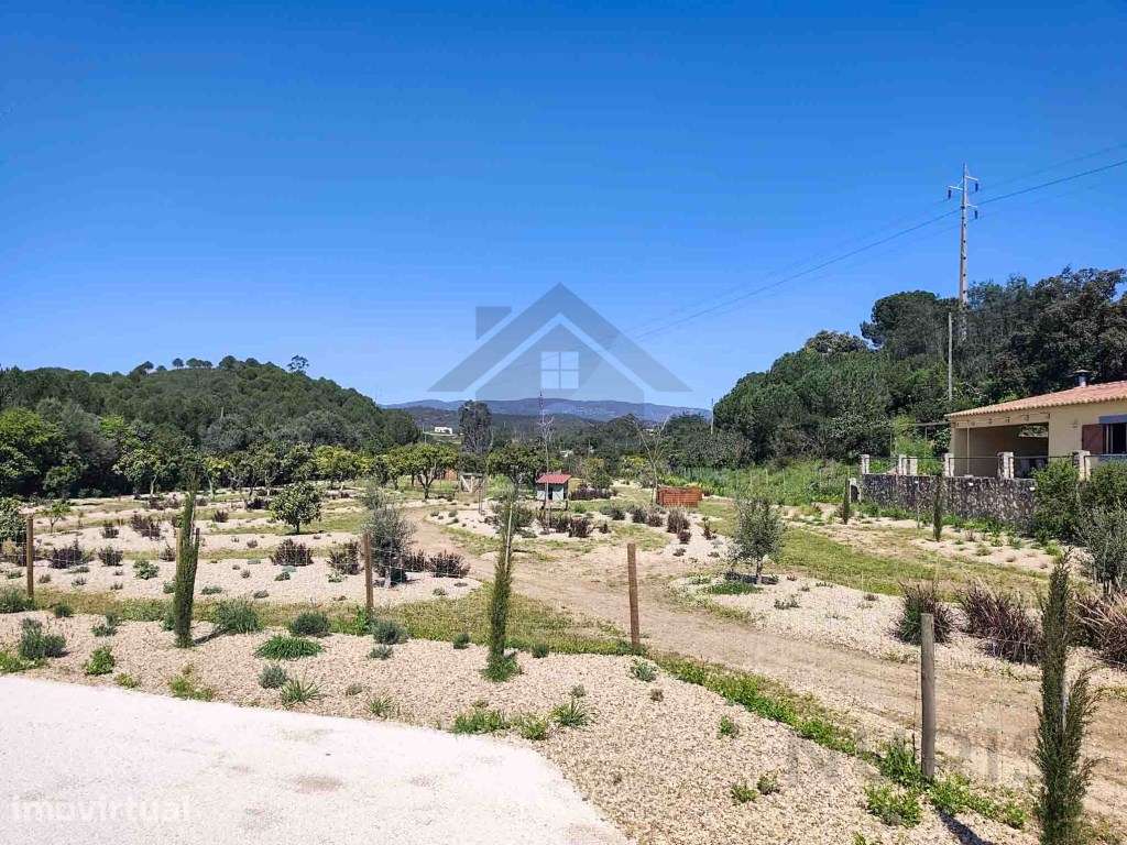 Quinta com 3,3 Hectares para Venda na Senhora do Verde - Grande imagem: 2/21