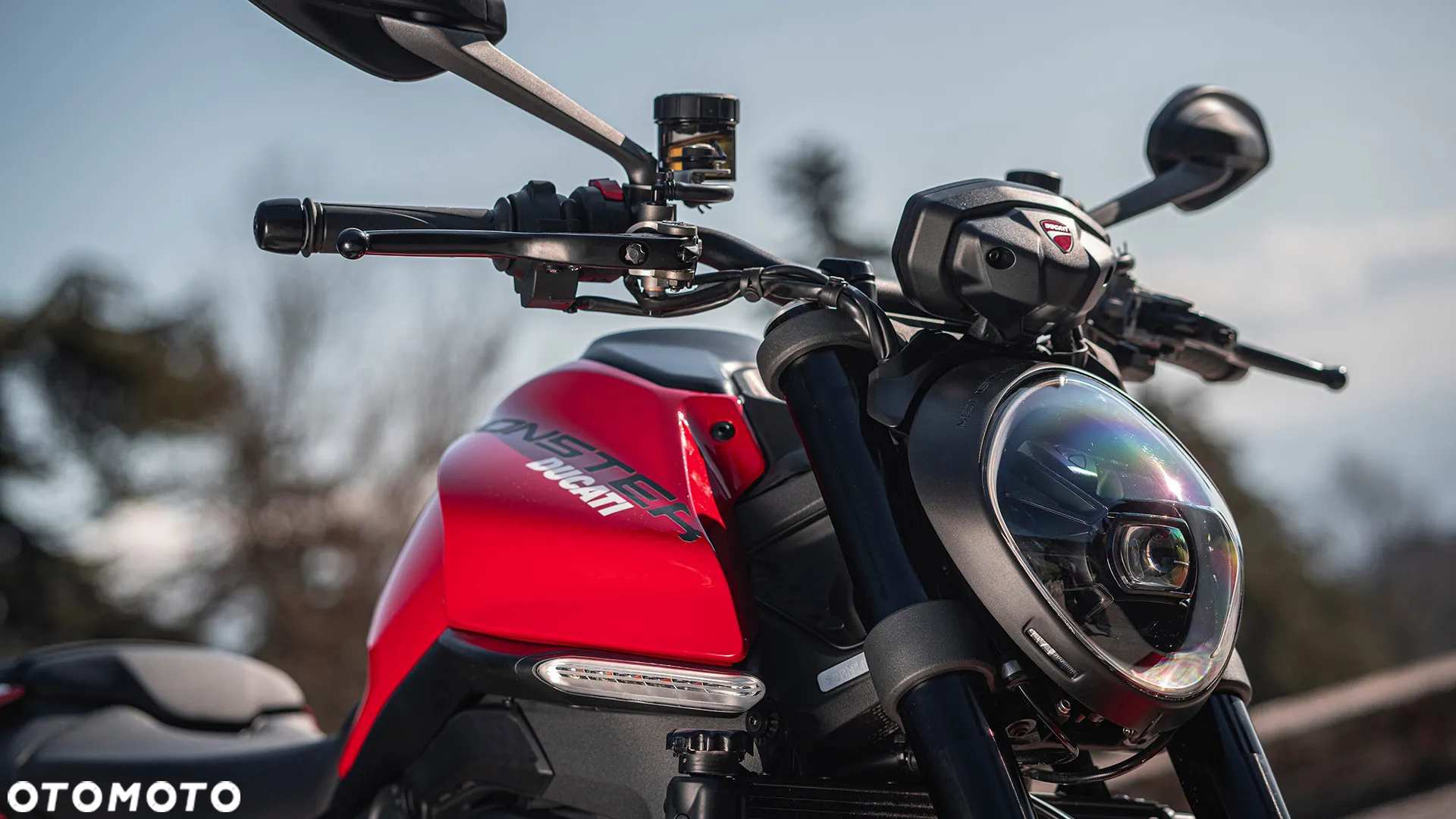 Ducati Monster - 5