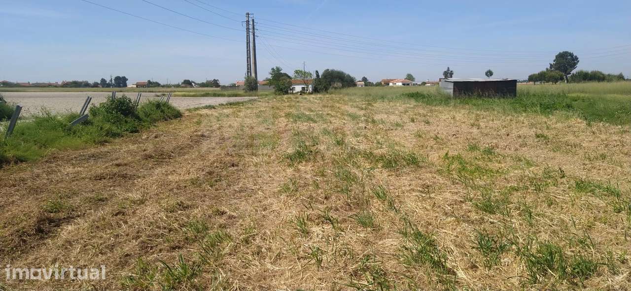 Moradia V1para remodelar com terreno para construção e agrícola. - Grande imagem: 2/10